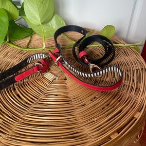 Striped and Red Leather Dog Leash with Black Strap